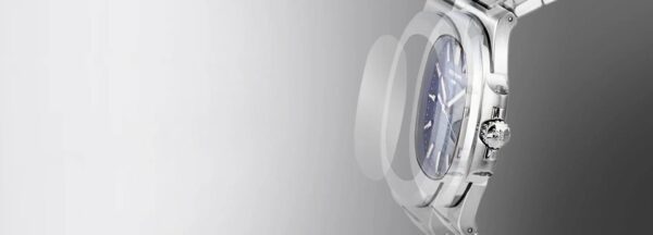 ip protection in watch oem projects